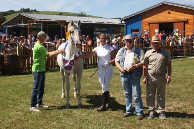 sampion_a_komisia_www